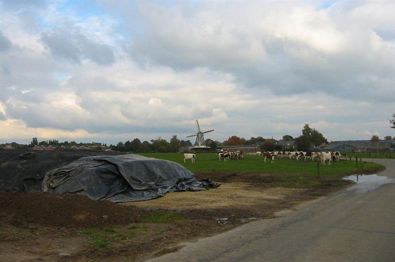 Th replica aansluiten Benut ruwvoer optimaal door voldoende kuilopslag - Melkveebedrijf.nl