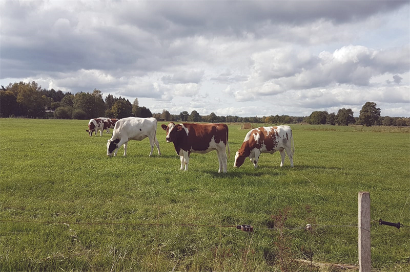 Agractie doet oproep voor extra hulp aan getroffen agrariërs