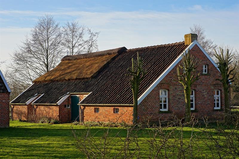 Arbeidsmigranten dragen belangrijke bijdrage aan de economie