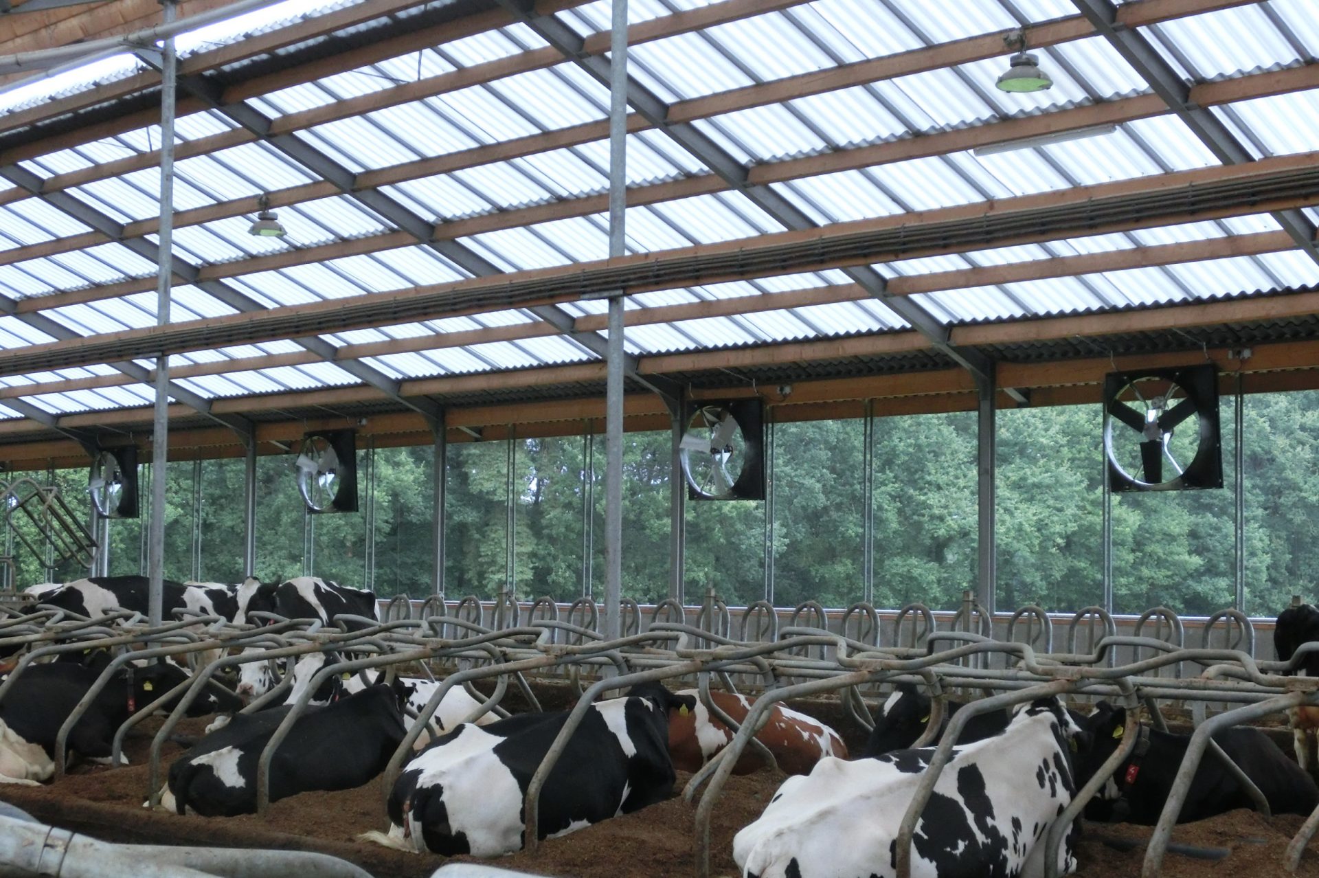 ABBIFAN-Ventilatoren voor melkveehouderij