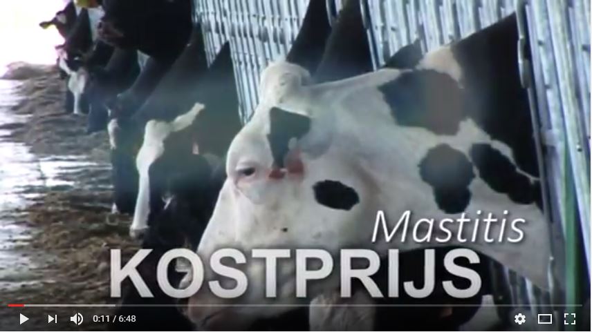 Mastitis & vaccinatie