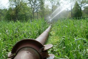 Beregening van grasland en mais