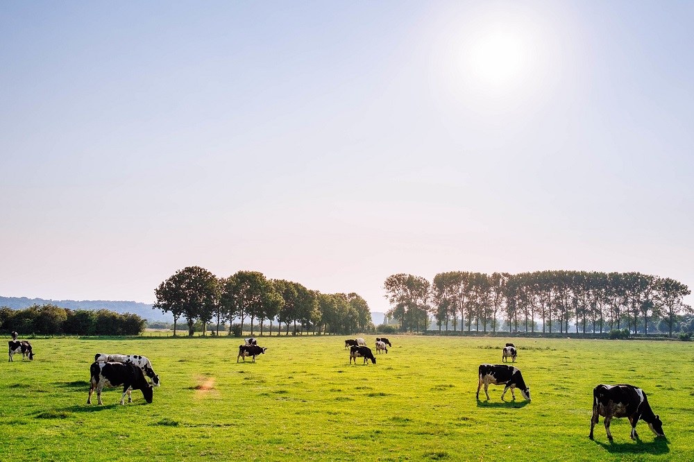 Stap dichterbij een nieuw meetsysteem voor koolstofvastlegging in de melkveehouderij