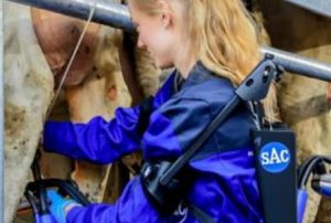 SAC Ergonomisch Melken – Optimaal voor de boer en de koe