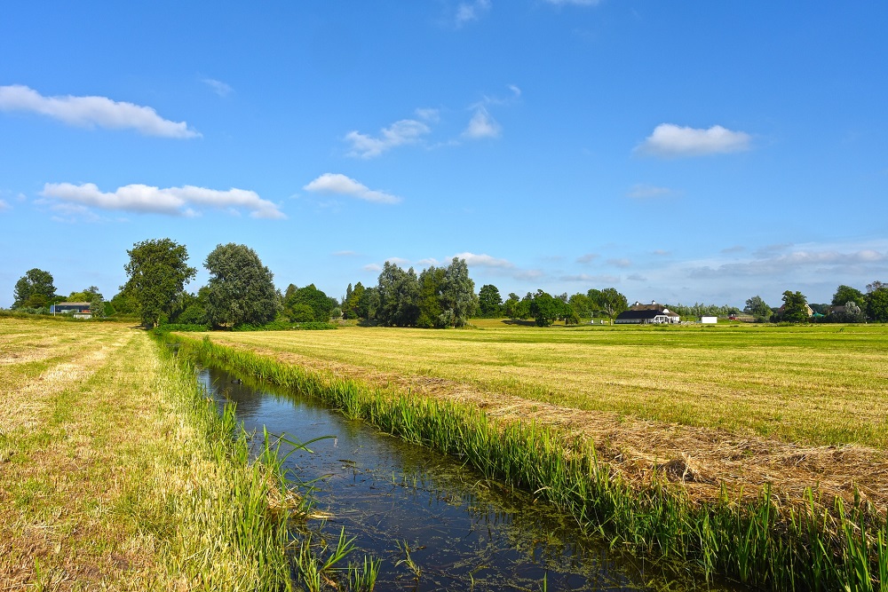 Goed bodembeheer grasland zorgt voor betere waterinfiltratie