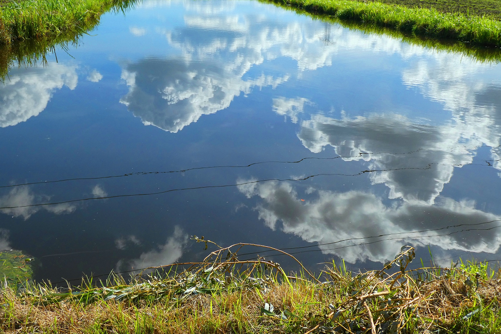 De polder wordt nat, houdt de boer het droog?