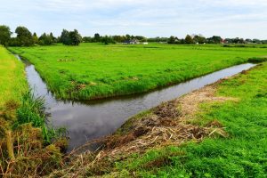 Schoner slootwater dankzij slimme software