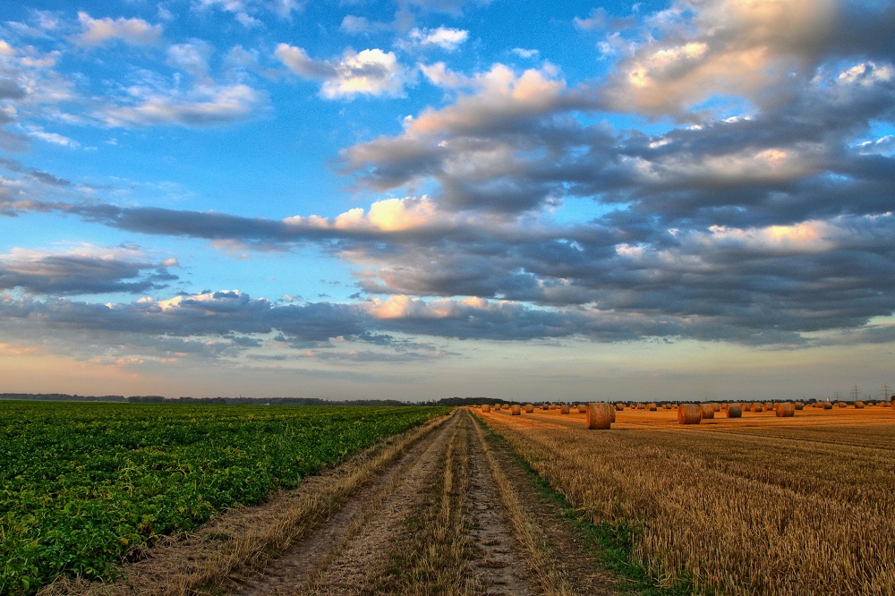 Lectoraat wil bijdrage leveren aan robuust en schoon watersysteem