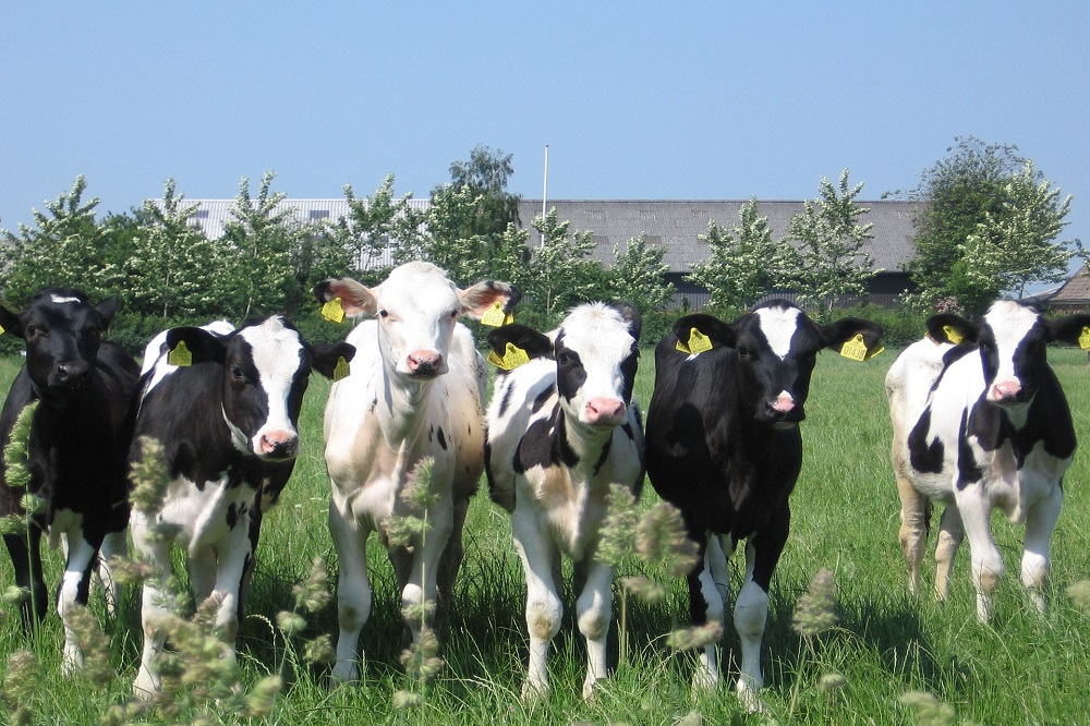 Heb jij cryptosporidium onder controle op jouw bedrijf?