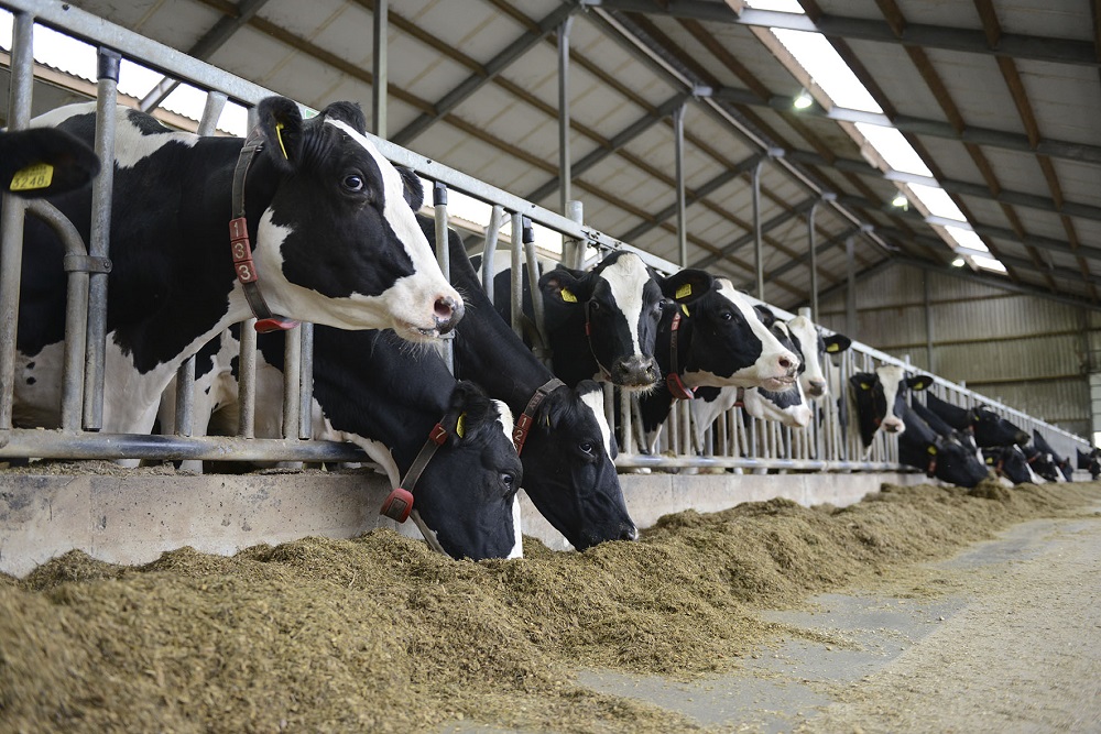 Voeg extra waarde toe aan het rantsoen