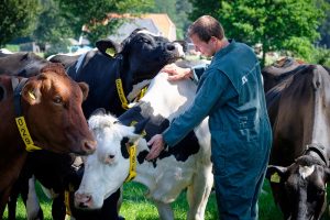 Wetenschap en boeren slaan handen ineen rond De Marke