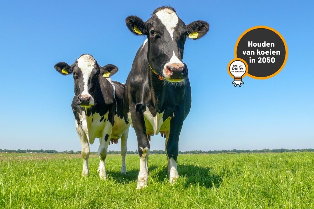 Dutch Dairy Challenge voorziet in behoefte