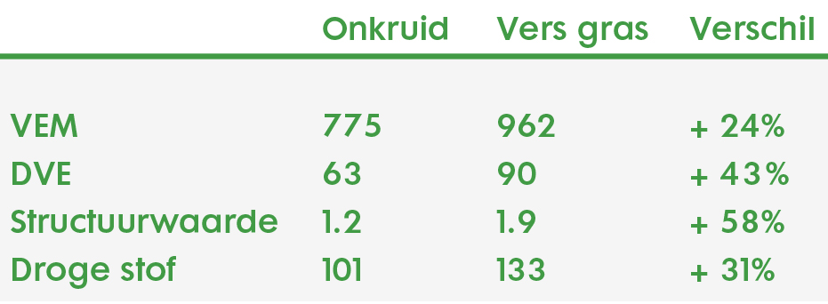 Onkruidbestrijding in grasland: Meer ruwvoer van eigen bodem 