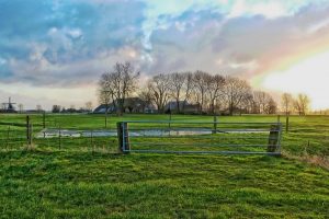 Vertrouwen boeren en tuinders nVertrouwen boeren en tuinders nog niet grootog niet groot