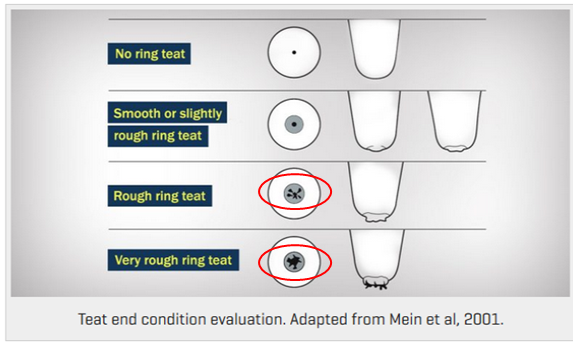 Houd de economische motor van uw bedrijf gezond! uier