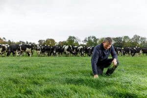 Selenium geen luxe maar noodzaak