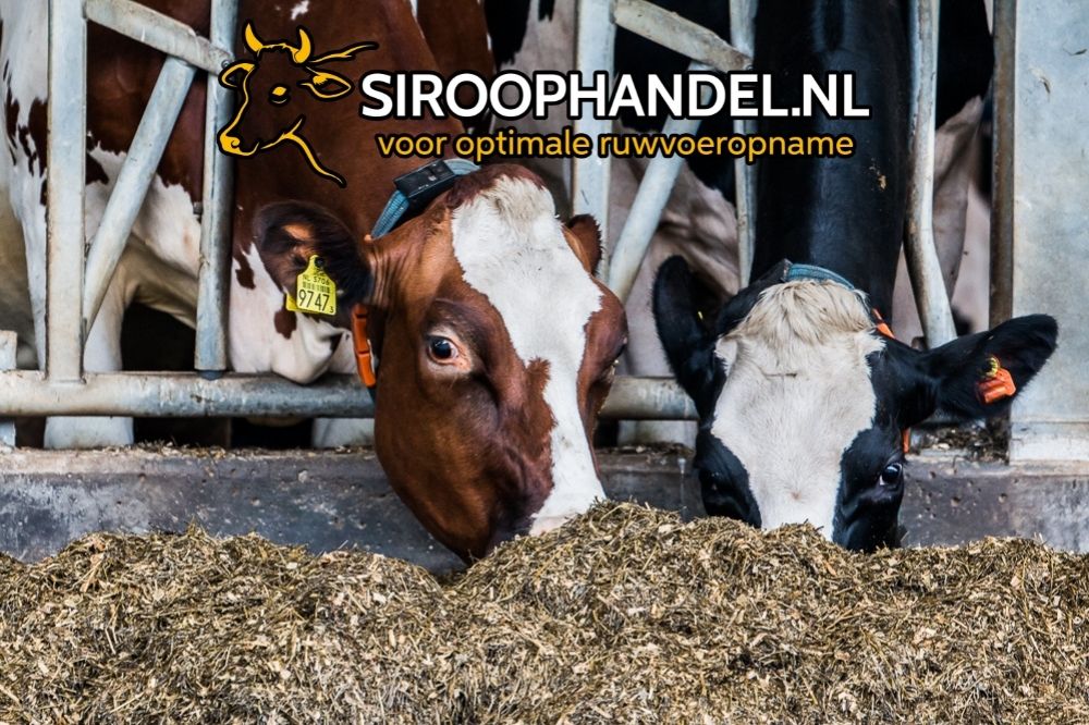 Optimale ruwvoeropname door smakelijke siroopproducten