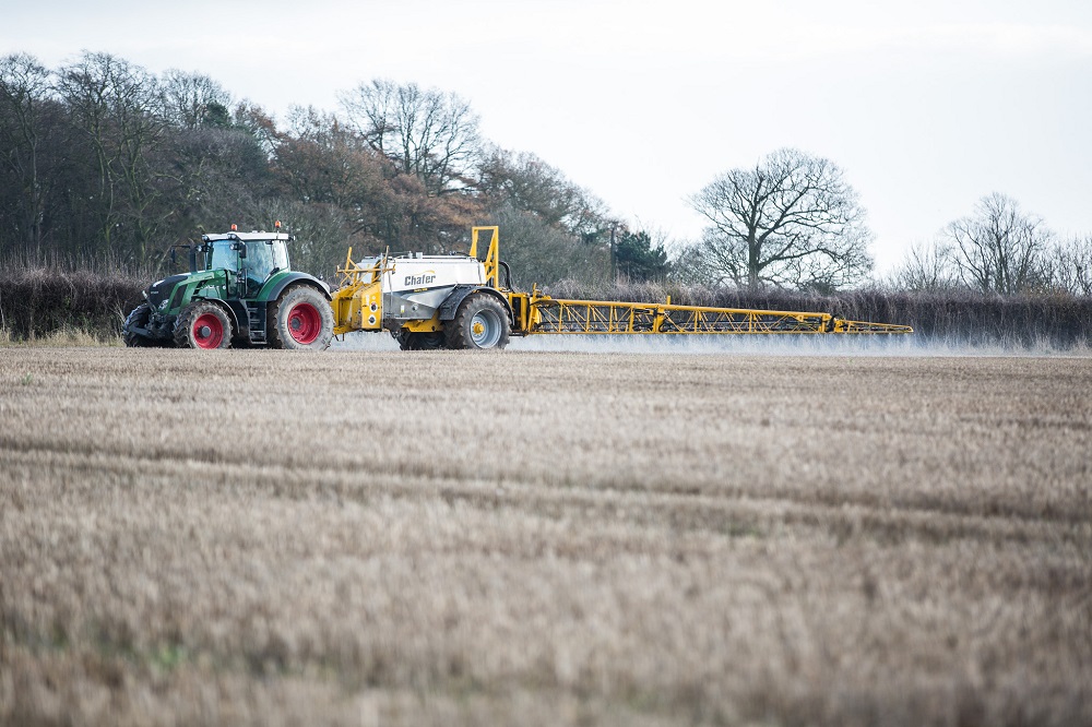 Boeren werken aan natuurlijke alternatieven voor onkruidbestrijding