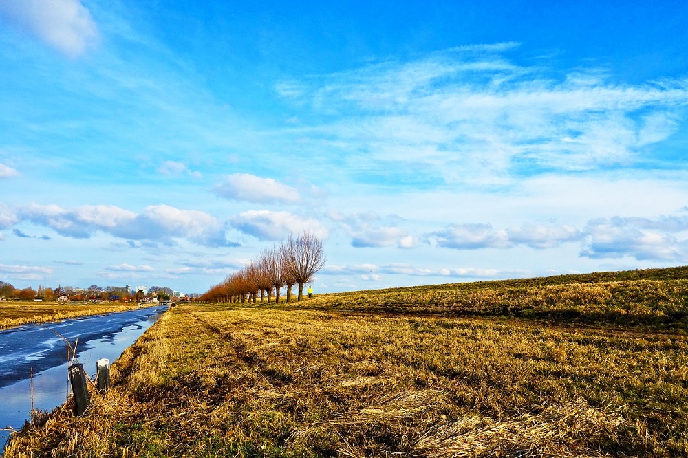 Verbod op glyfosaat voorlopig afgekeurd in Noord-Holland