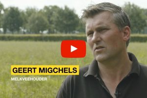VIDEO: Kruidenrijk grasland met NutriHerb - van research tot melkveehouder