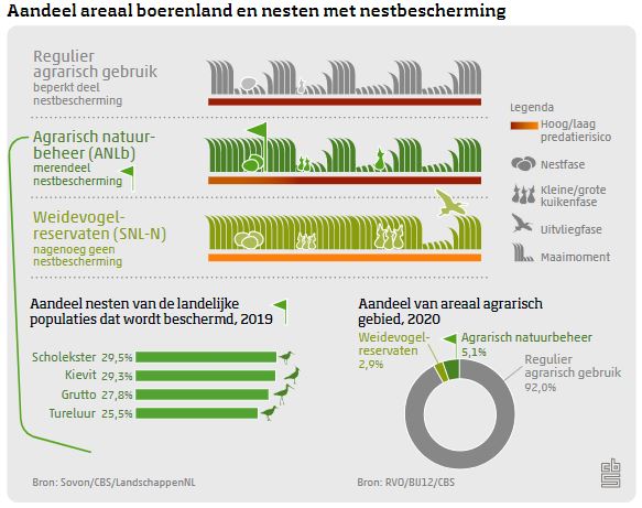 Boerenlandvogels onder druk: nestsucces broedvogels gedaald