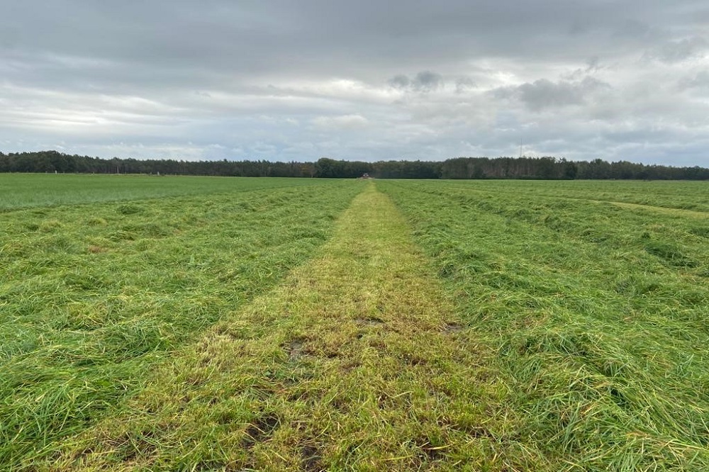 Maaien en inkuilen tussen de buien door