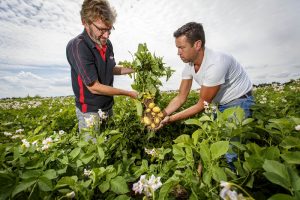 Albert Heijn wil meer vers van eigen bodem