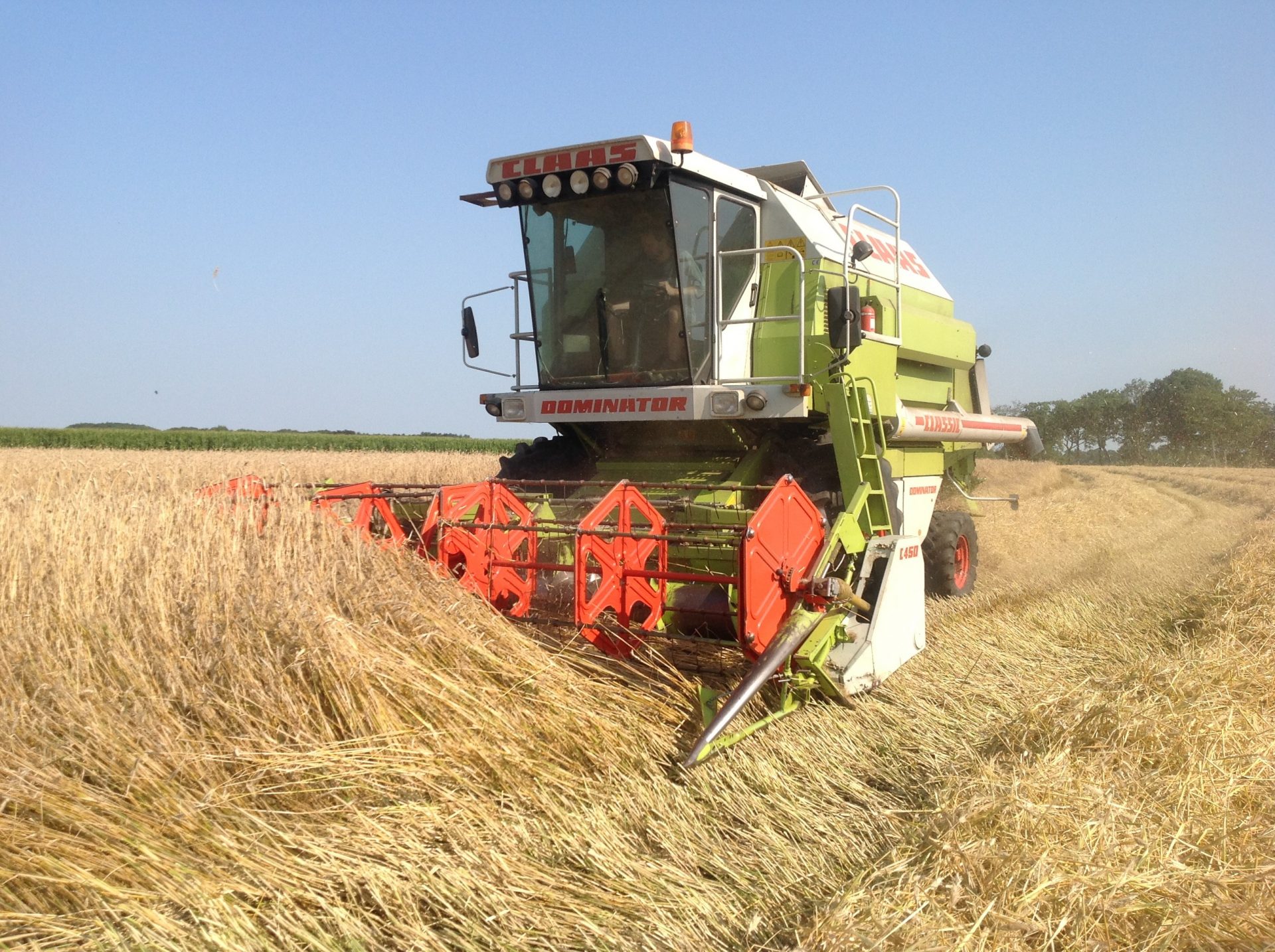 Nieuwe graanoogst staat er goed voor