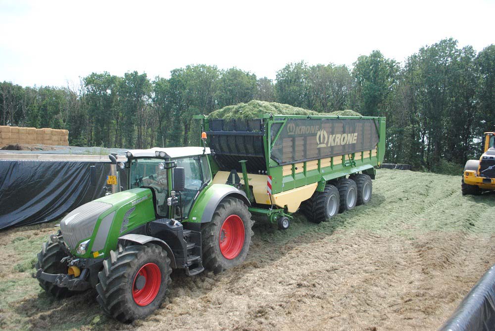 Voederwaarde gras nog hoog, ruw eiwit laag