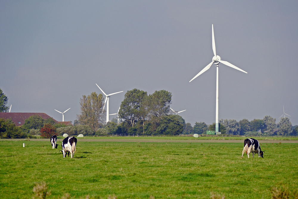 Doorbraak naar gezondere zuivel