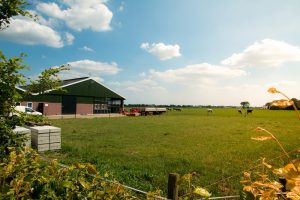 Van lineaire naar circulaire stallenbouw