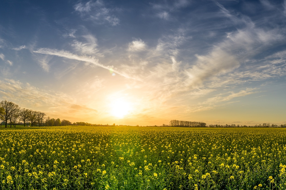 Boeren komen met oplossingen voor gevolgen extreem weer