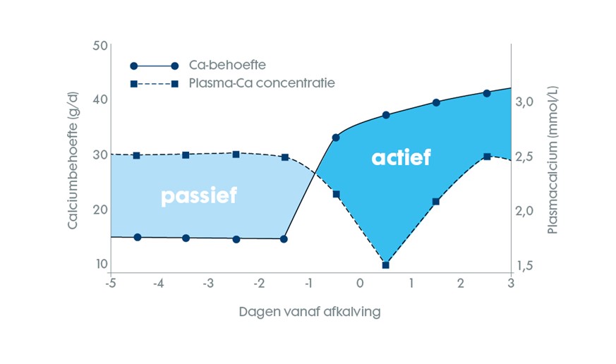 De impact van transitie op levensdagproductie 