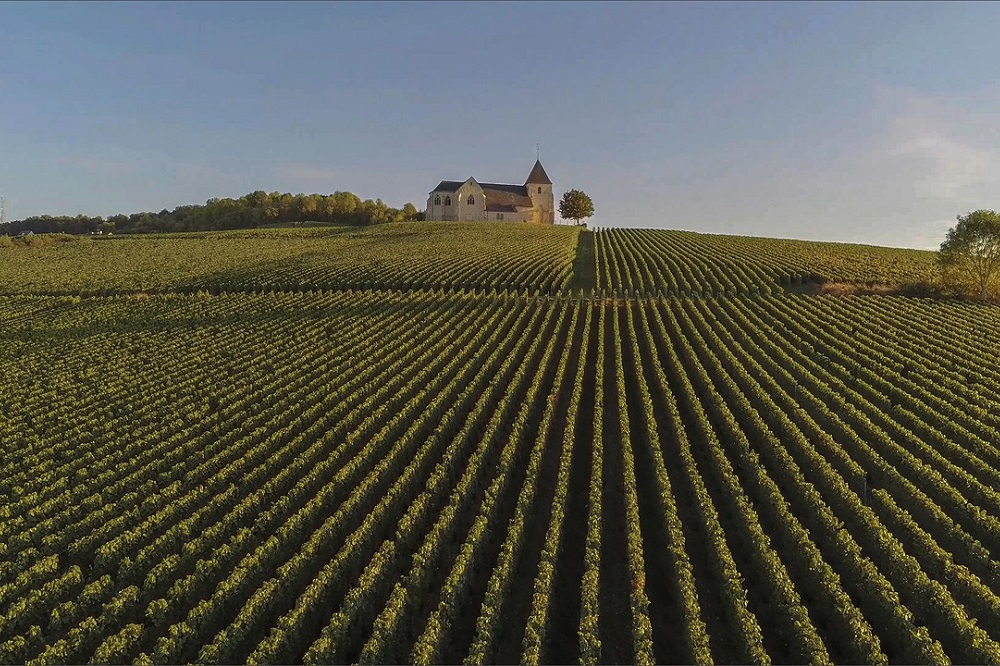 Agrarische sector populair bij Franse burgers