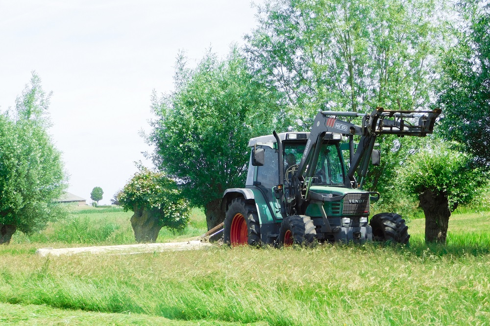 Grasgroei maaisnede nog steeds hoog