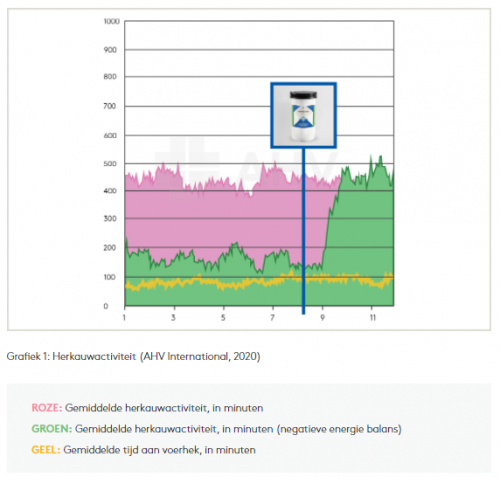 Herkauwactiviteit