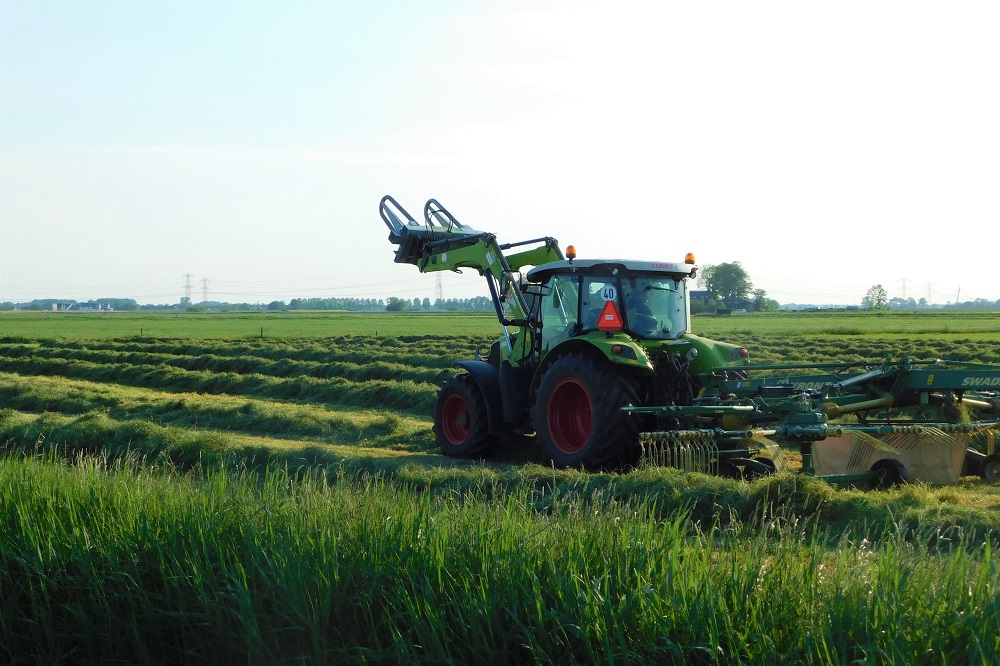 Grasgroei maaisnede gaat maar door