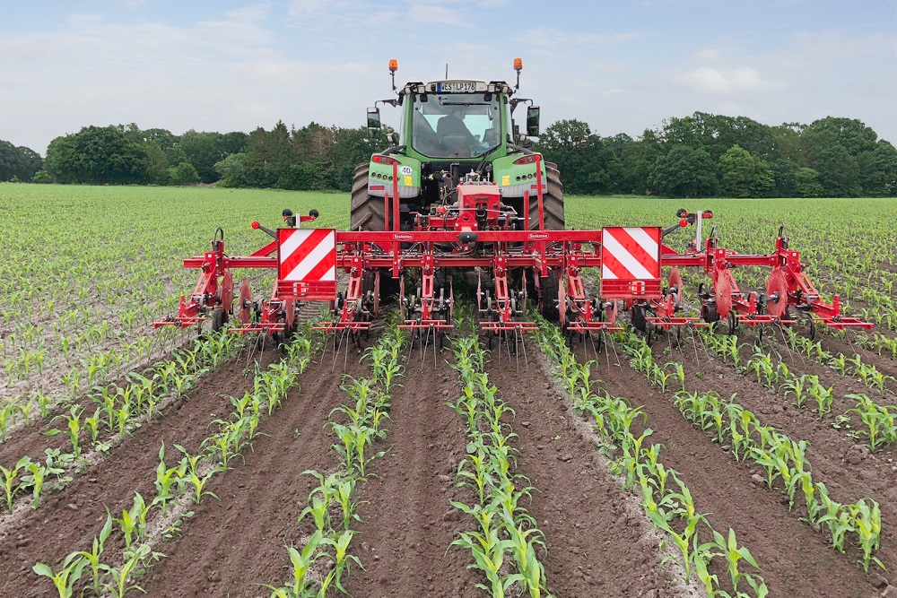 De dubbele rij schoon: Schoffeltechniek Steketee in DeltaRow-maïs