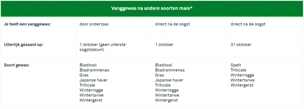 Vanggewas op zand- en lössgrond zaaien na mais