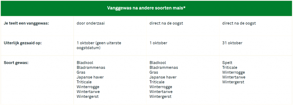 Vanggewas op zand- en lössgrond zaaien na mais 