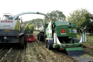 Behoud €300 aan zetmeel per hectare met Pioneer inoculant 11A44