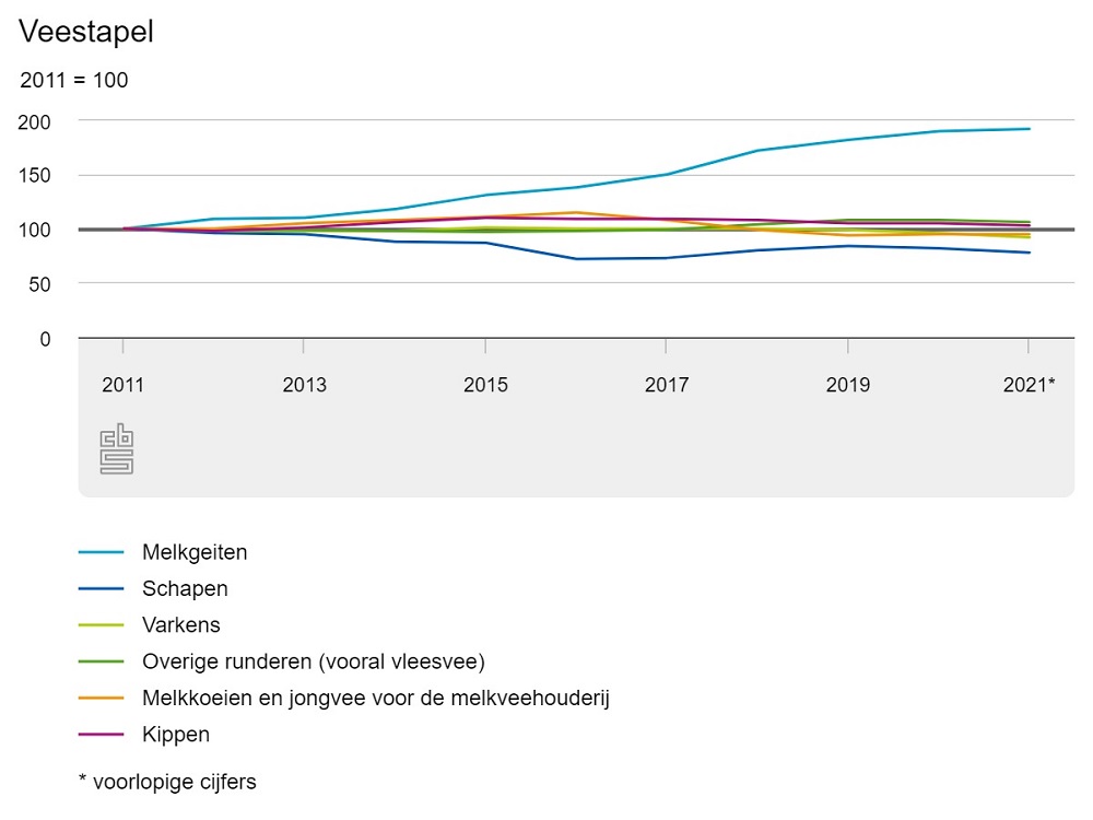 Nederlandse rundveestapel gelijk gebleven