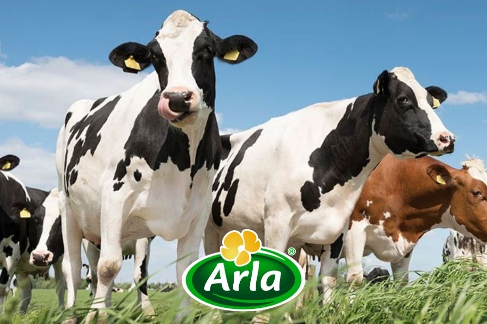 Flinke groei voor Arla Foods Nederland in 2023