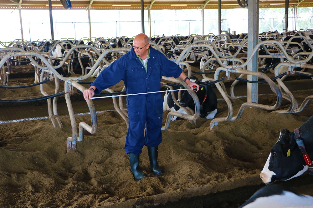 Onderzoek Victoria Mengvoeders laat grote variatie zien: Scherper op droge stof opname in droogstand