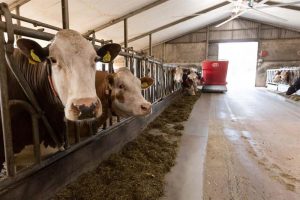 Machinepark op melkveebedrijven steeds meer elektrisch