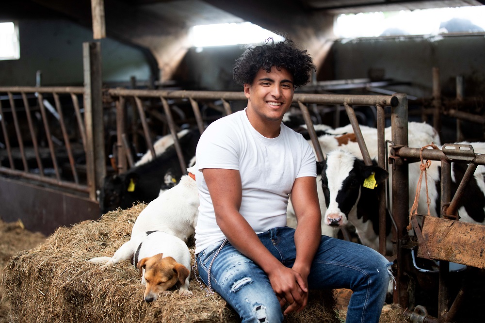KRO-NCRV volgt Boer Ayoub in droom van eigen boerderij in Nederland