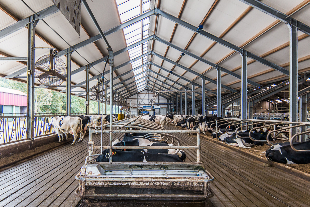 Energiekosten besparen op uw melkveehouderij