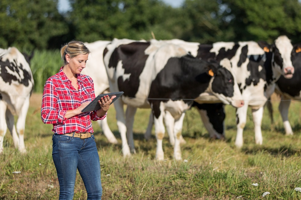 Graslandgebruikskalender wordt digitaal: met eigen data, ruwvoederwinning optimaliseren