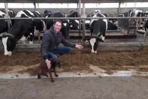 Hoe deze melkveehouder voor 75% minder mastitis op zijn bedrijf zorgde