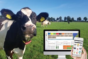 Managementsoftware Nederlandse melkveehouders presteren het beste op duurzaamheid 35650